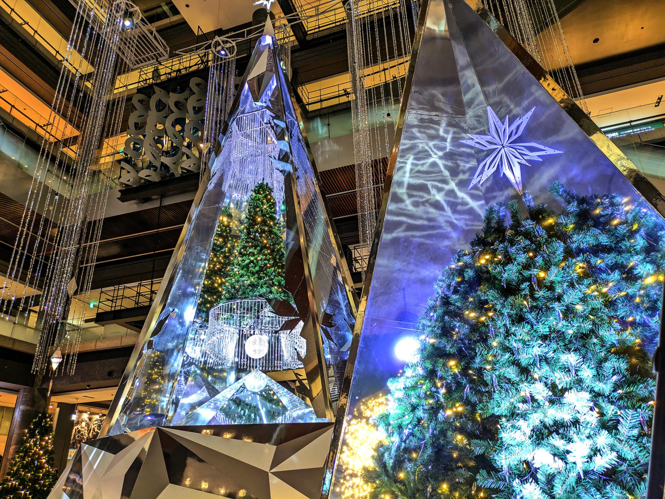 GRAND WISH CHRISTMAS 2024 ～Infinity Lights～